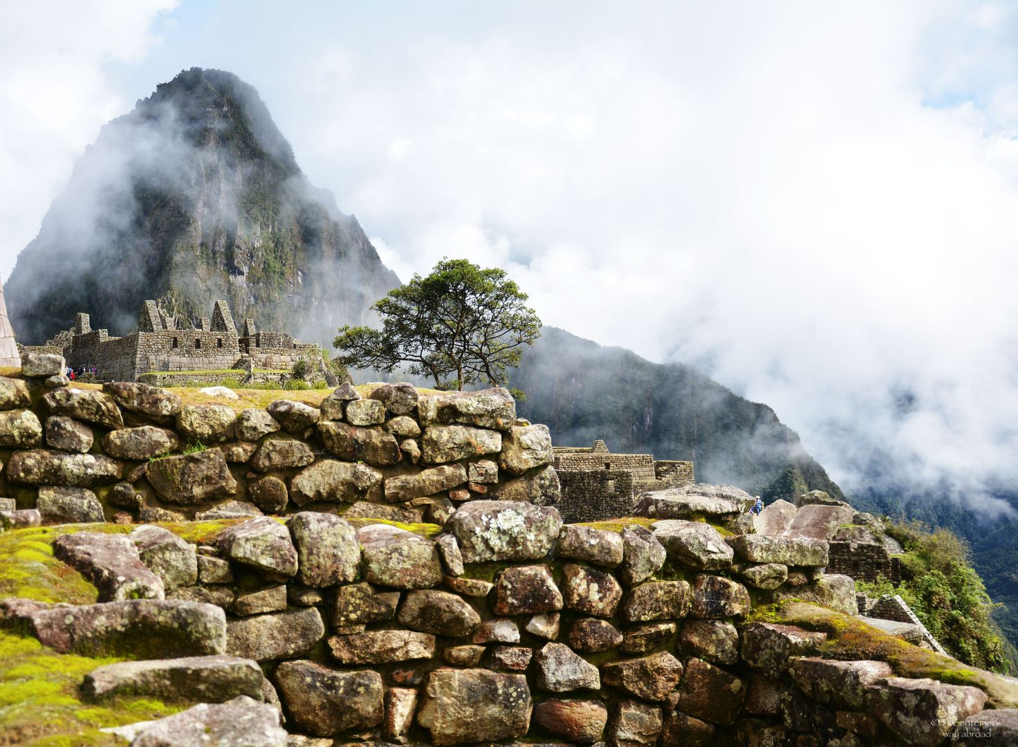 Gli inca: dalla Mongolia a Machu Picchu