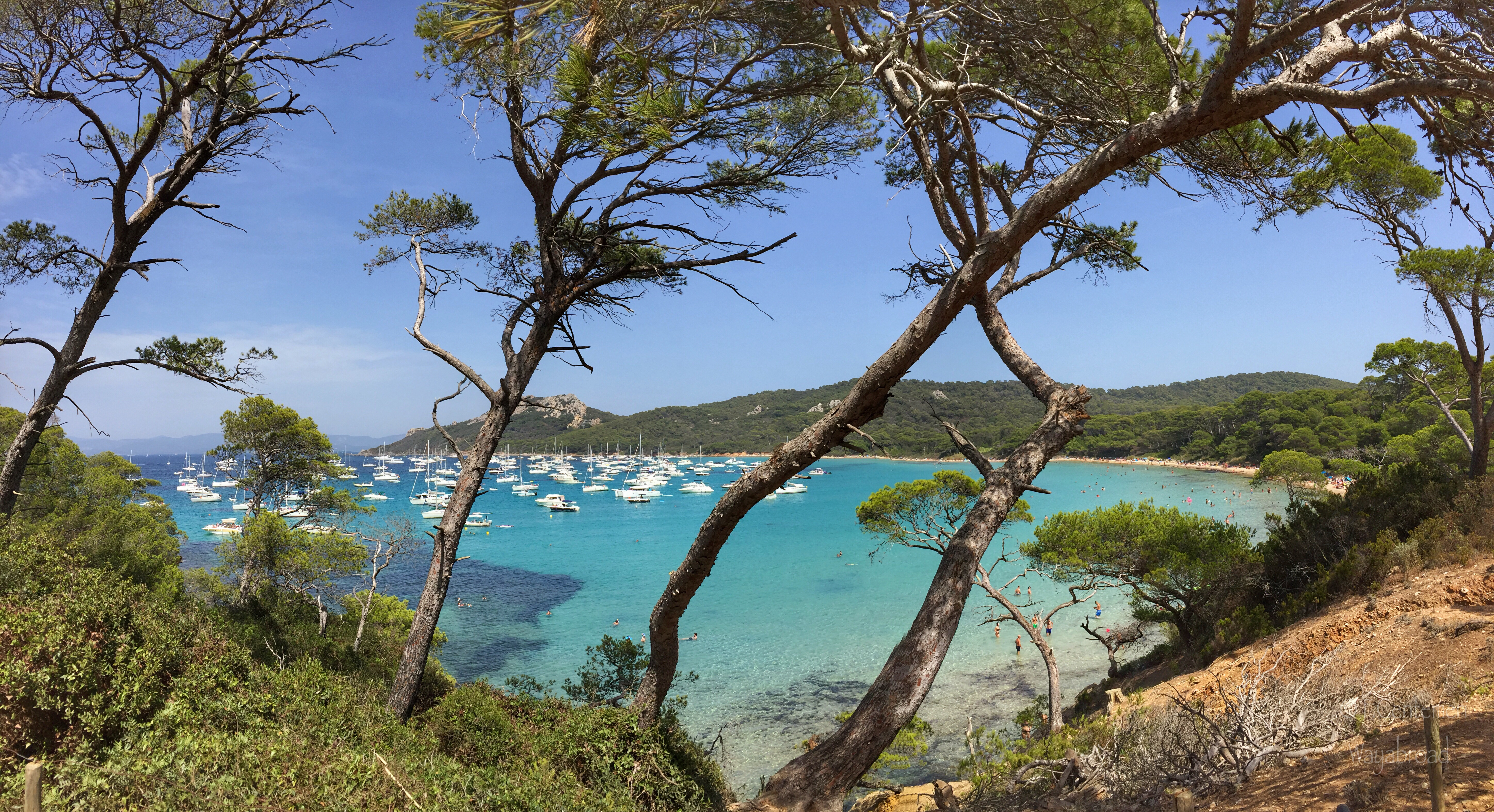 L’Isola di Porquerolles, un paradiso caraibico nel sud della Francia