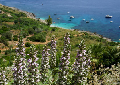 Trekking nella selvaggia Riserva dello Zingaro: la Sicilia che non ti aspetti