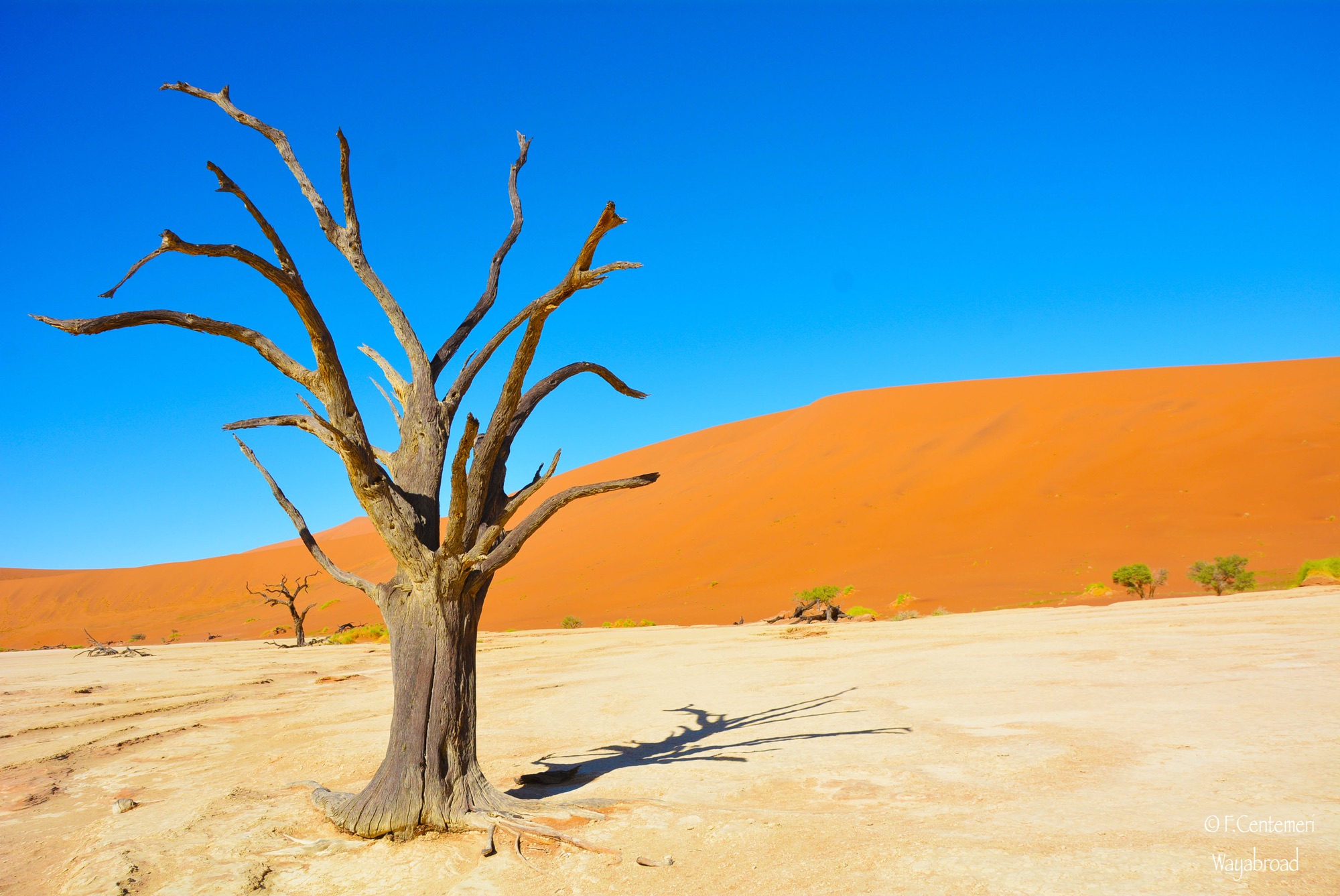 Tips per organizzare un viaggio in Namibia