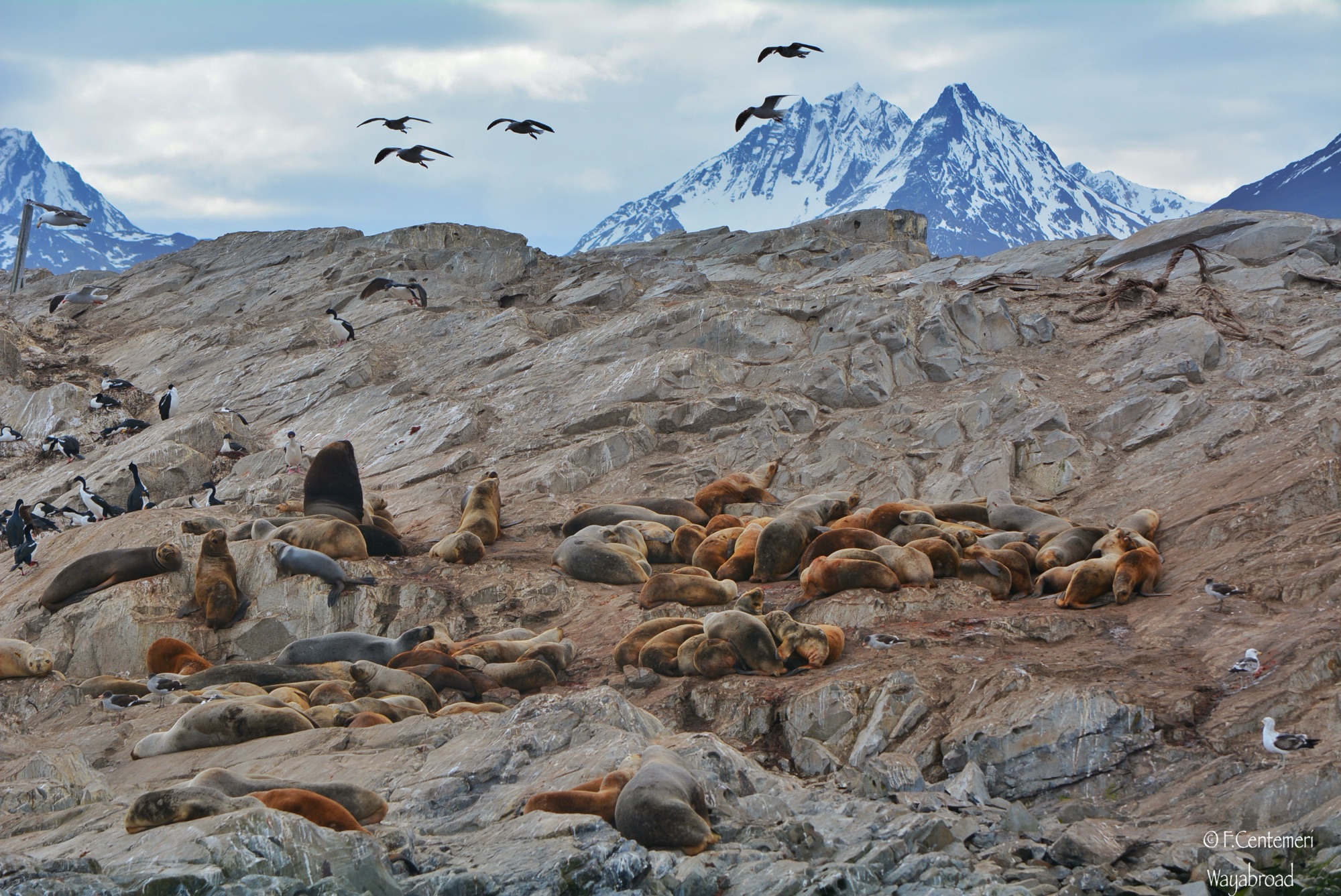 Alla scoperta di Ushuaia e della Terra del Fuoco: viaggio ai confini del mondo