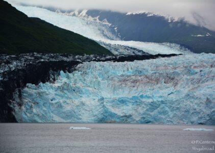 The Last Frontier On the Road: cosa fare e vedere assolutamente in Alaska (Itinerario ed escursioni!)